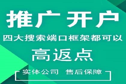品牌信息流广告推广案例解析